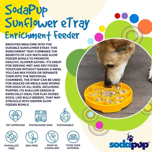 Joyser slow feed dog bowl image 3