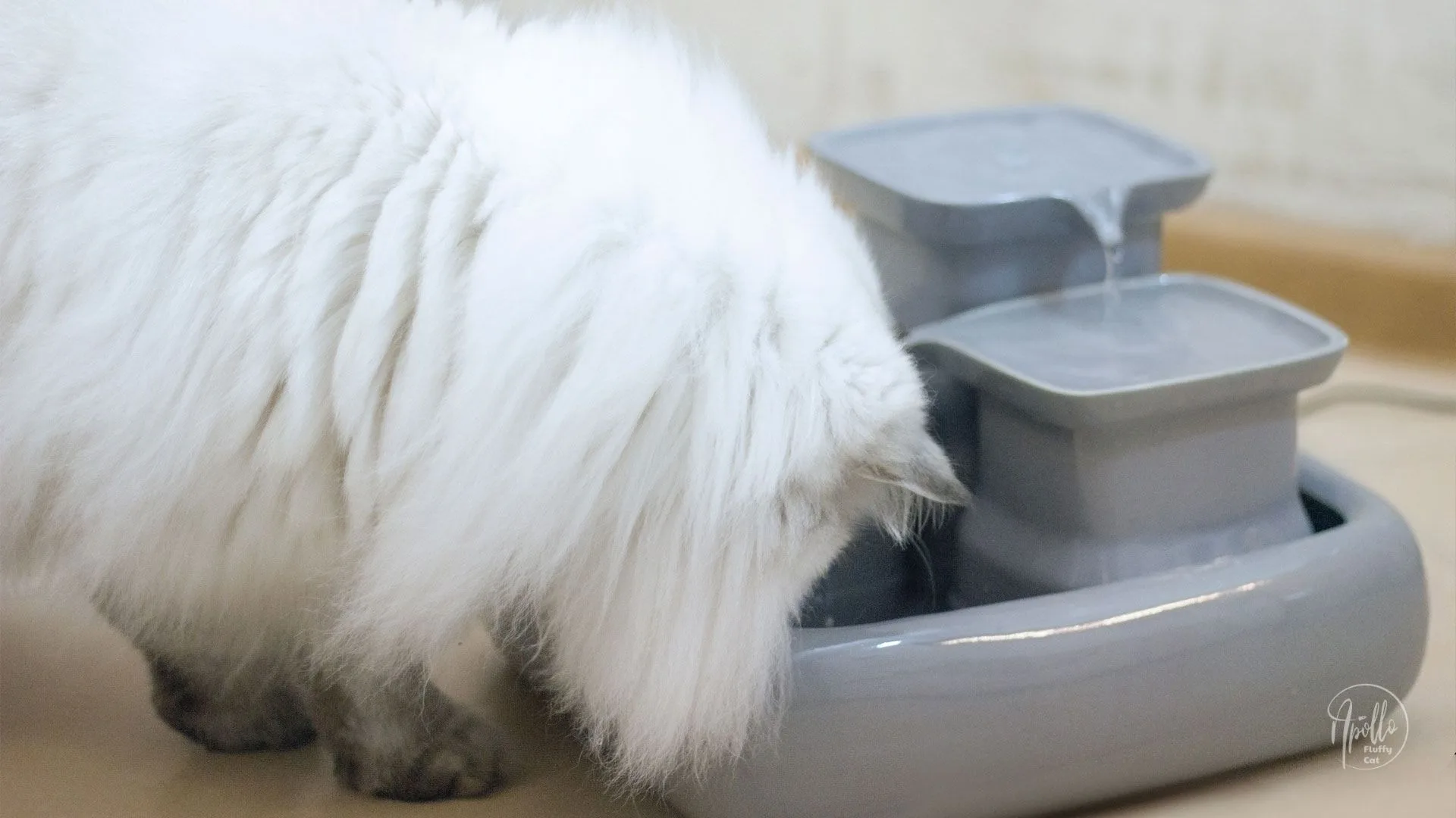 Miaustore Ceramic Cat Water Fountain image 3