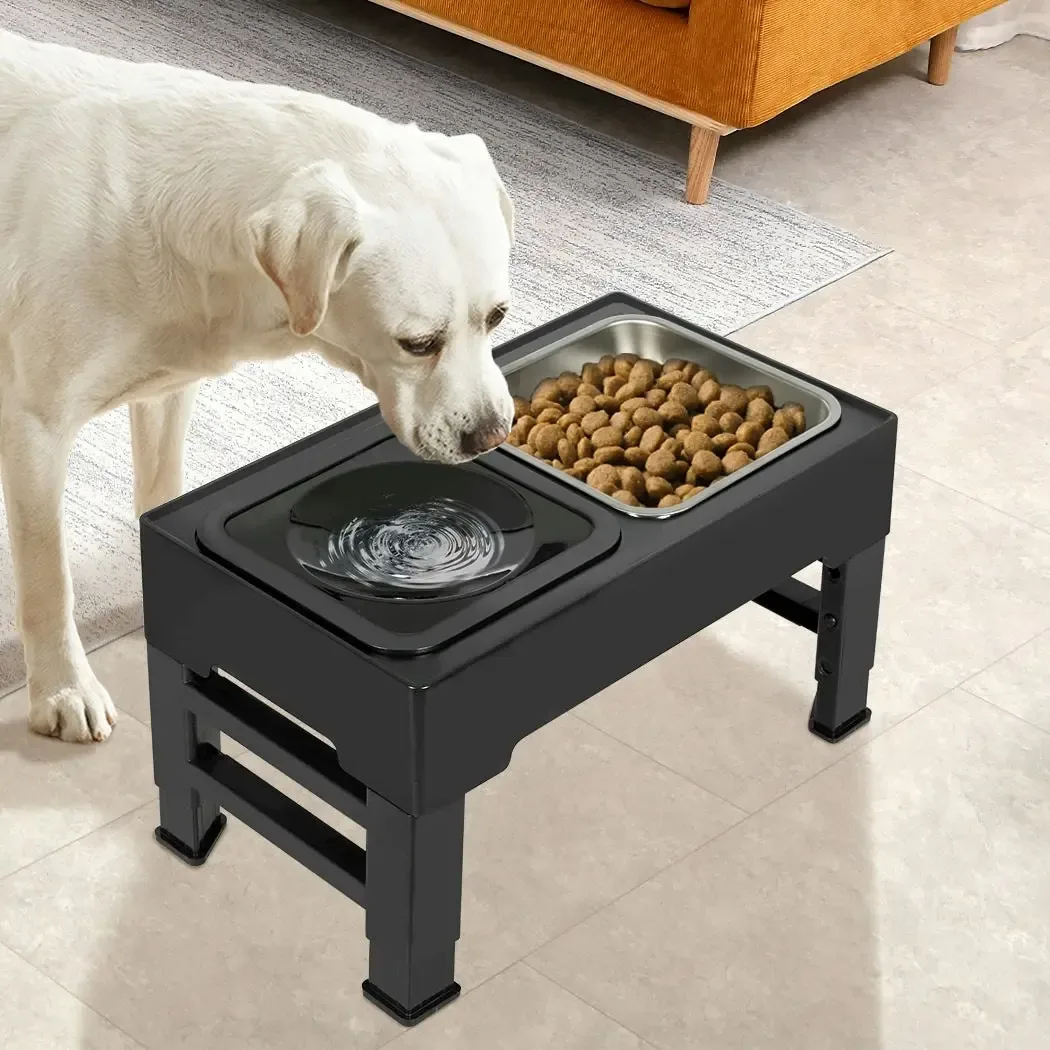 PAWZ Road Elevated Dog Feeder